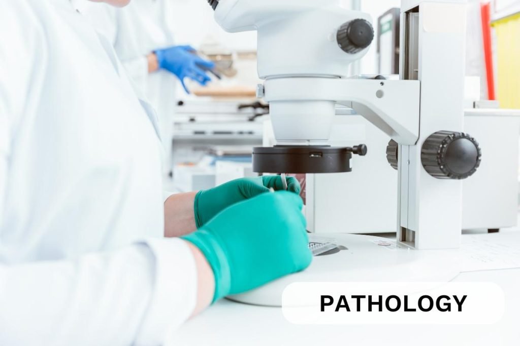 Pathology Tests - Phoenix Clinics & Diagnostics